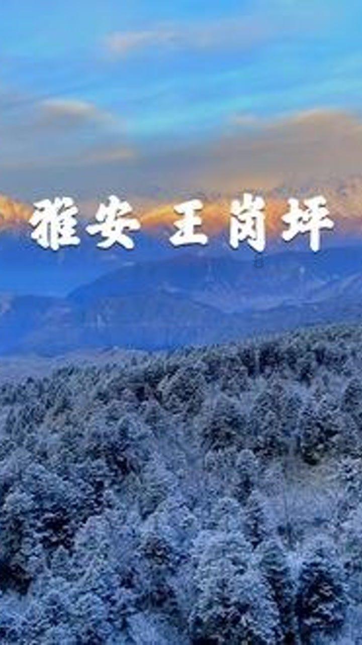 飞扬的方块鸟